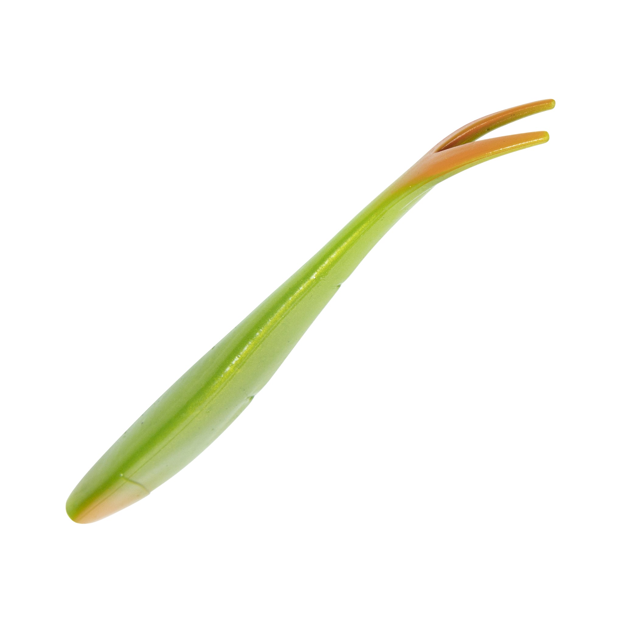 Ditch Minnow