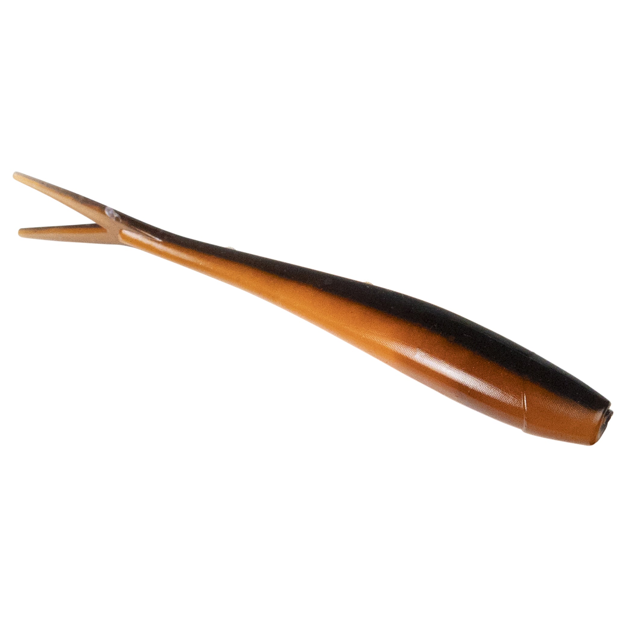 Ditch Minnow