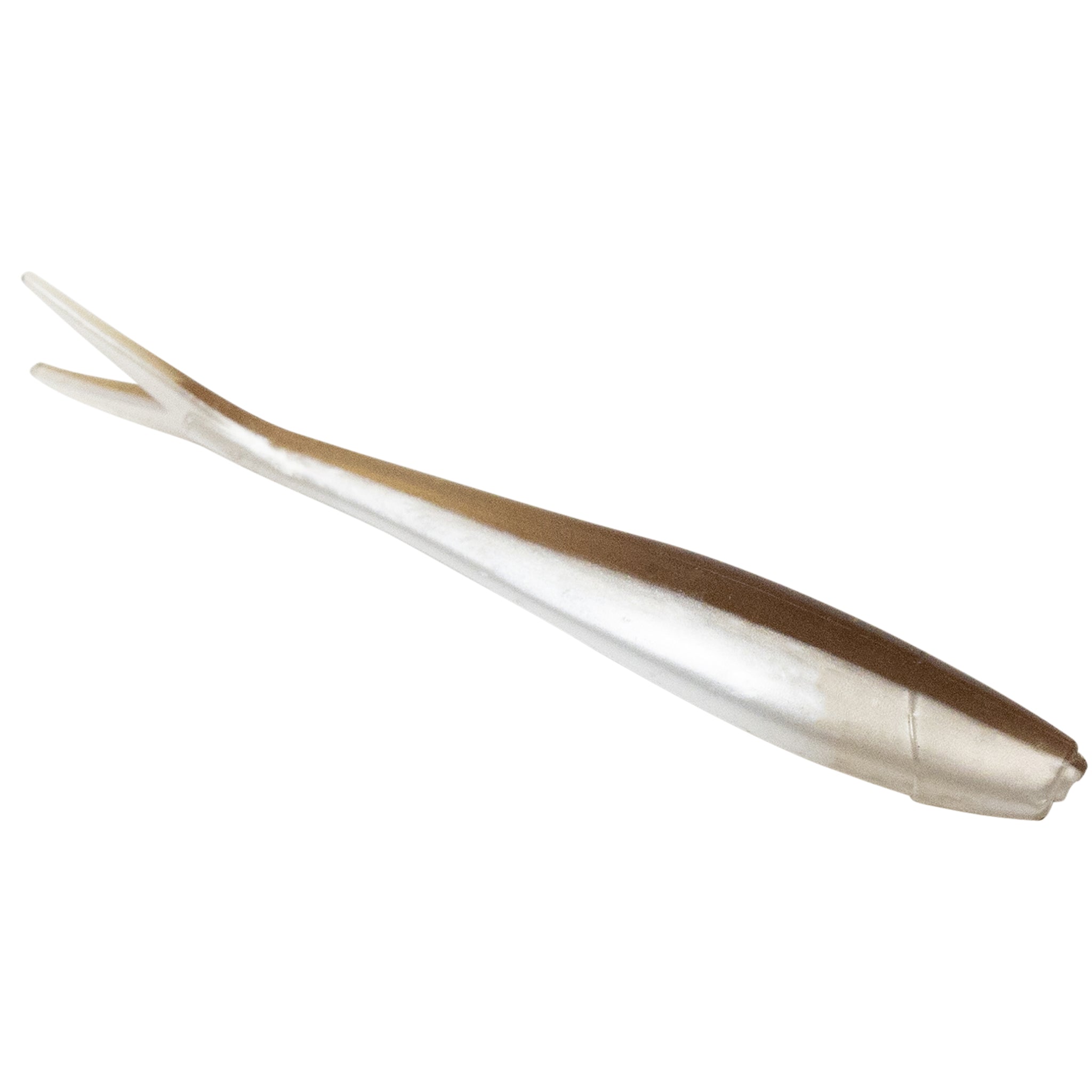 Ditch Minnow