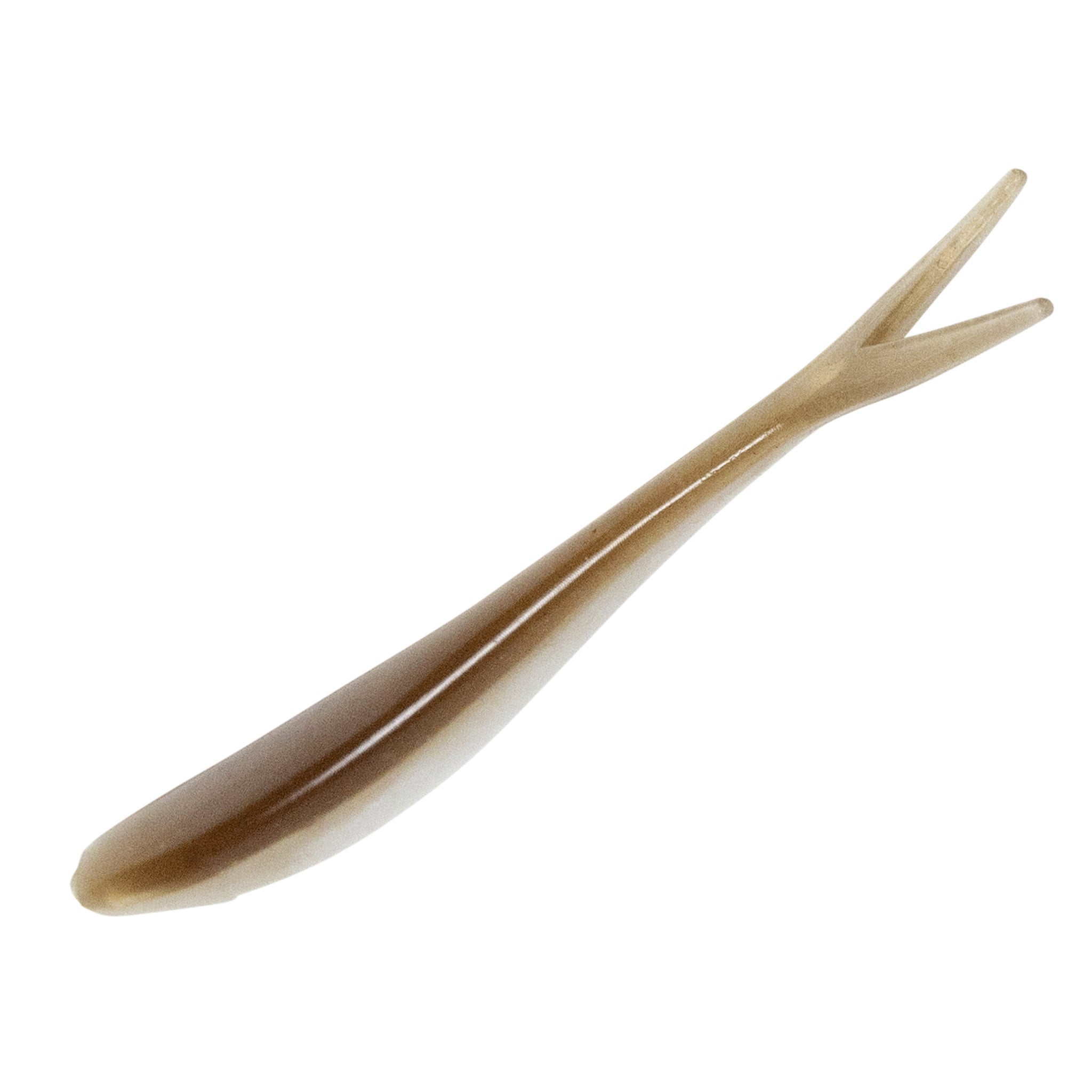 Ditch Minnow