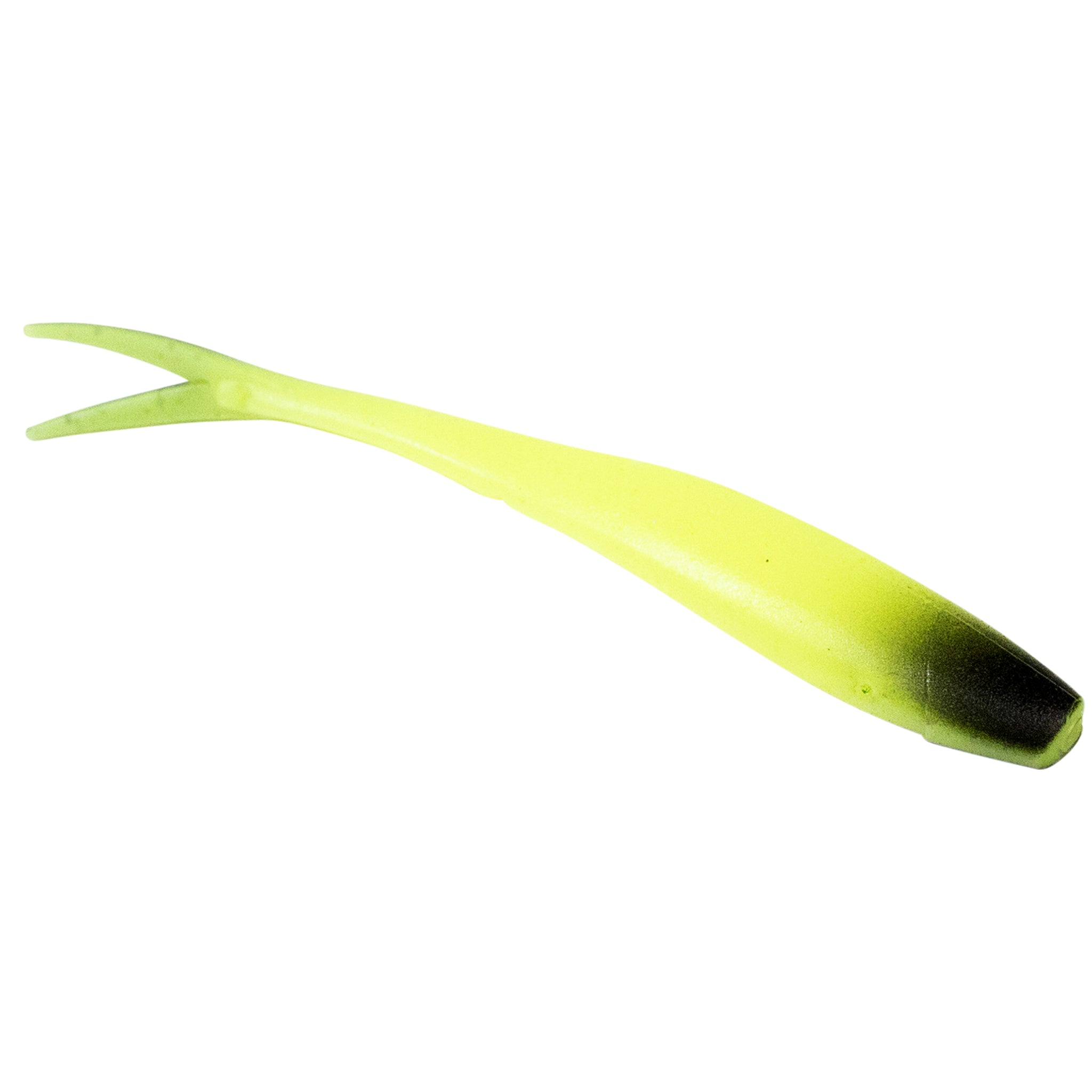 Ditch Minnow