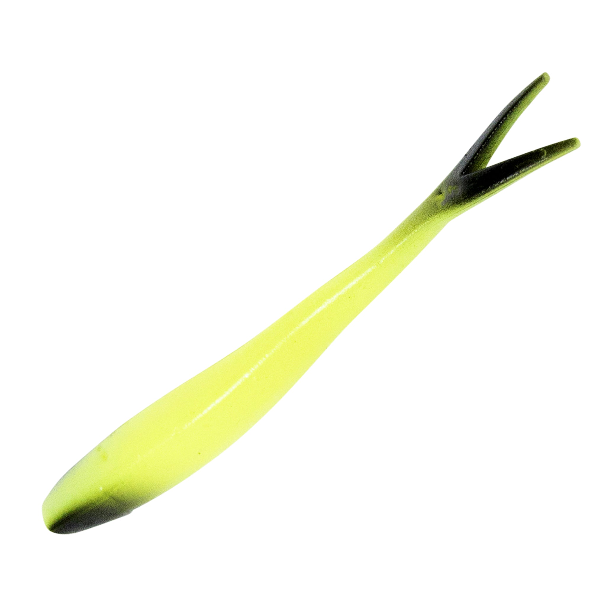 Ditch Minnow