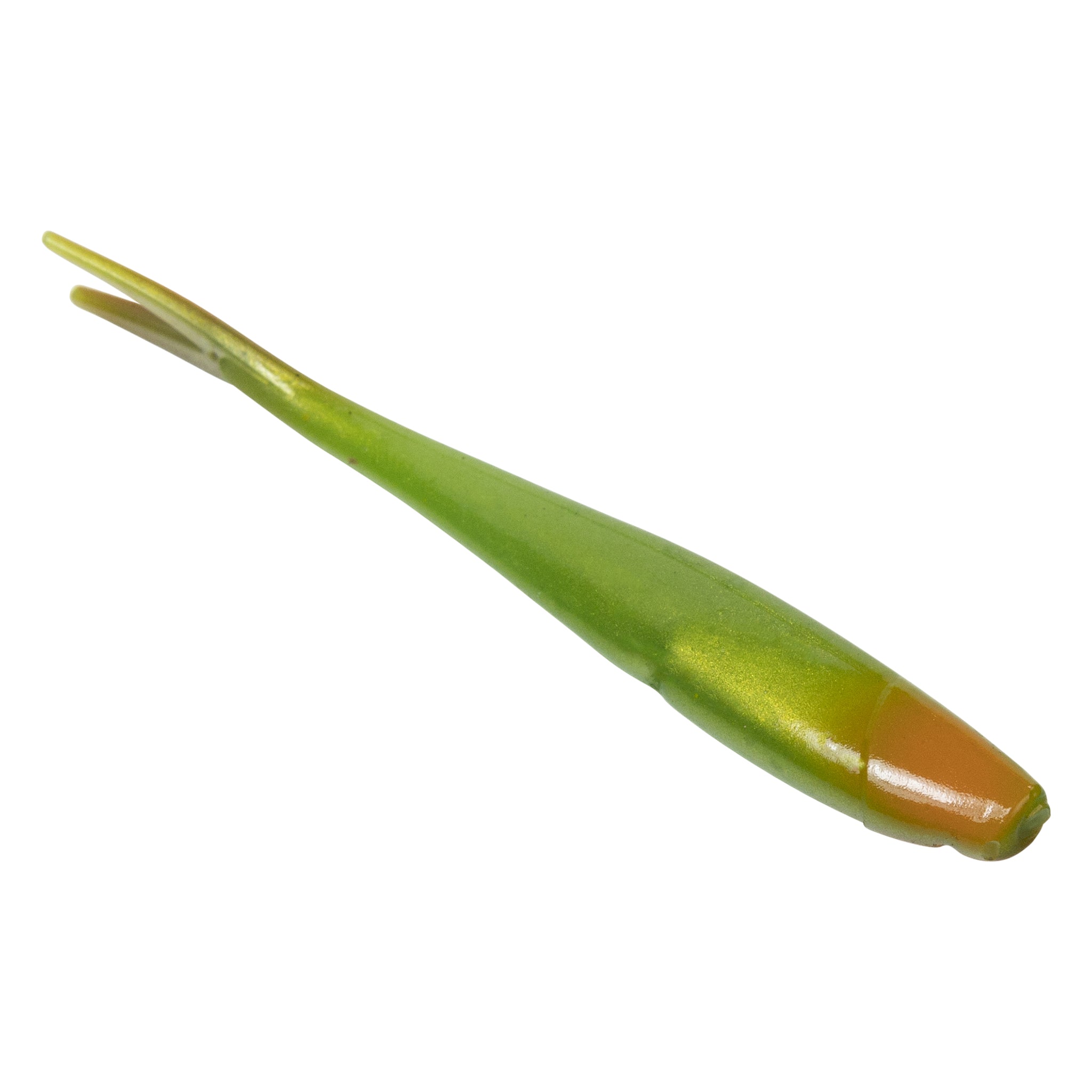 Ditch Minnow