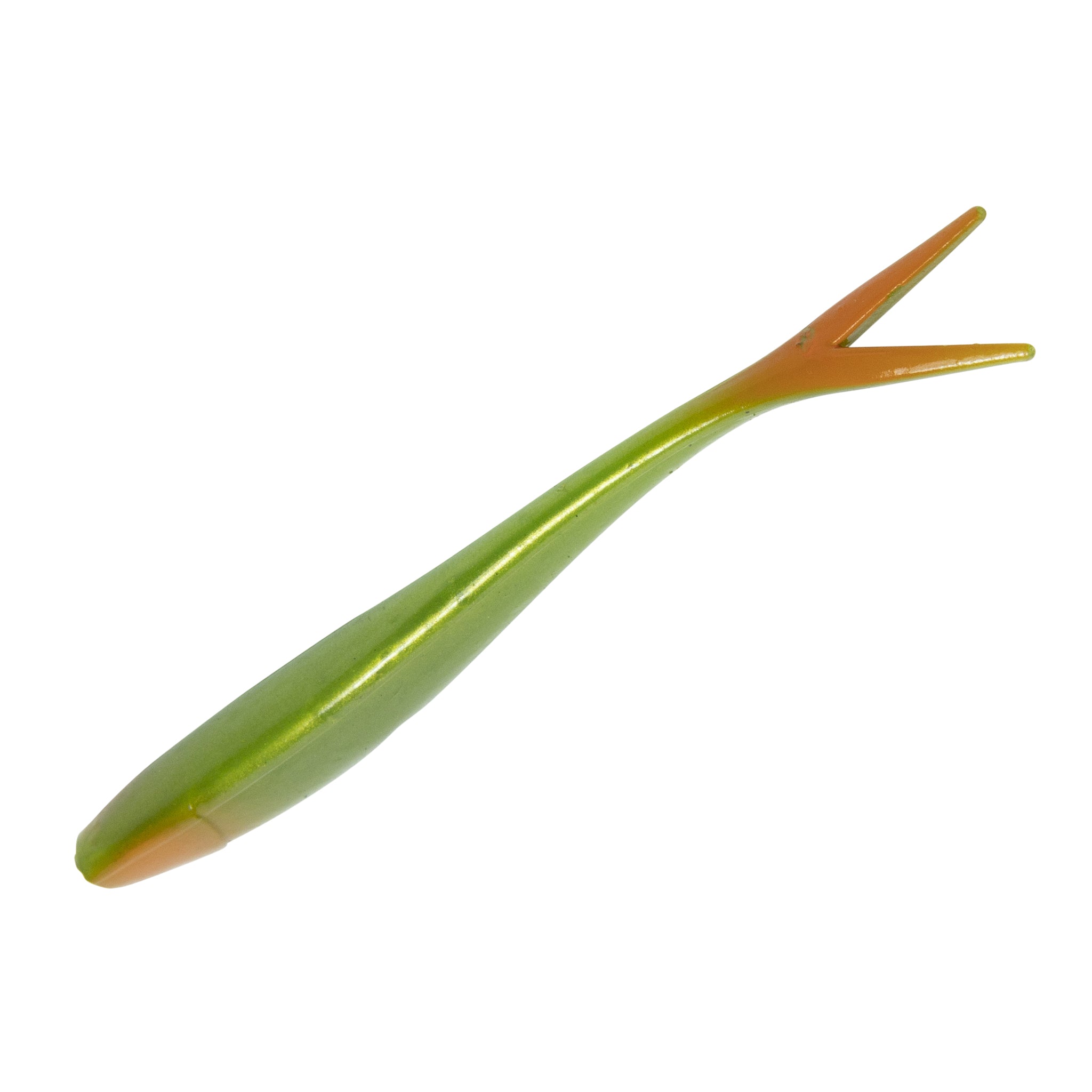 Ditch Minnow