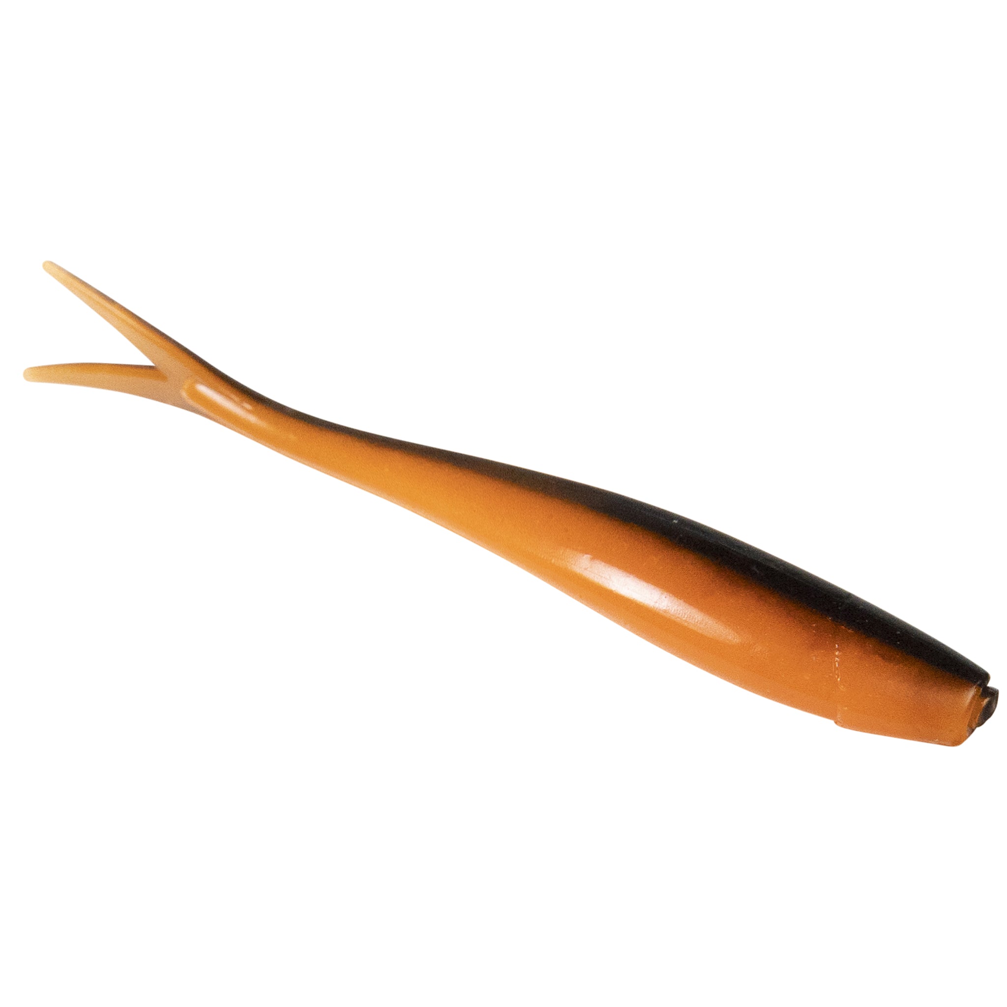 Ditch Minnow