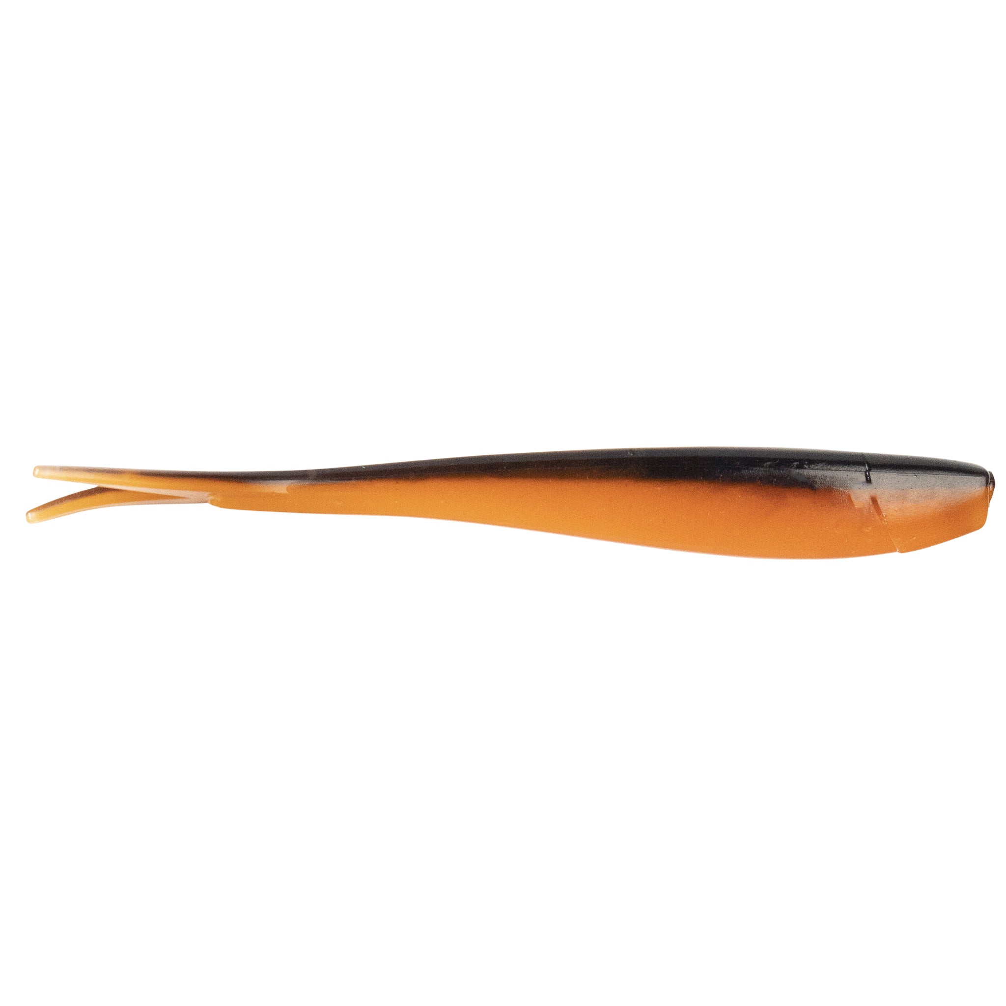 Ditch Minnow