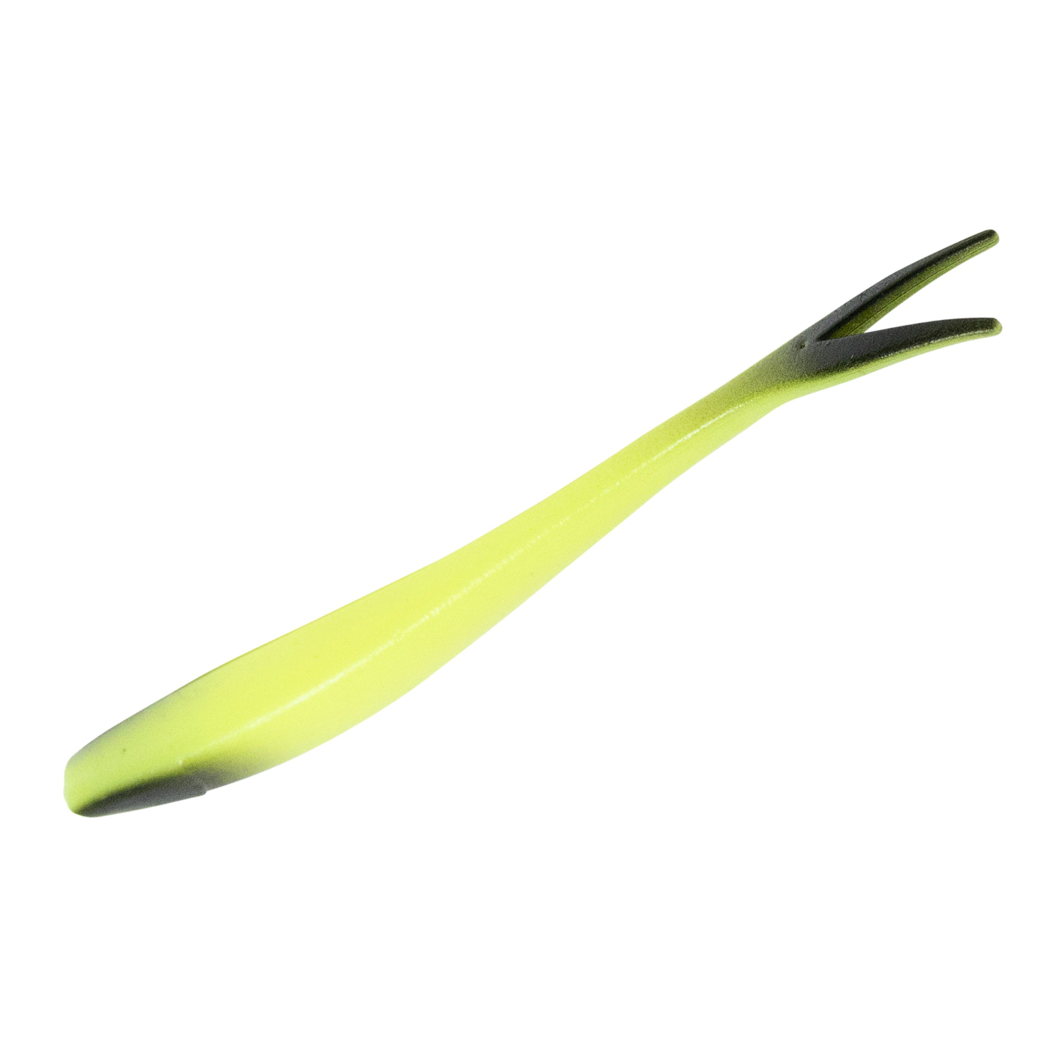 Ditch Minnow