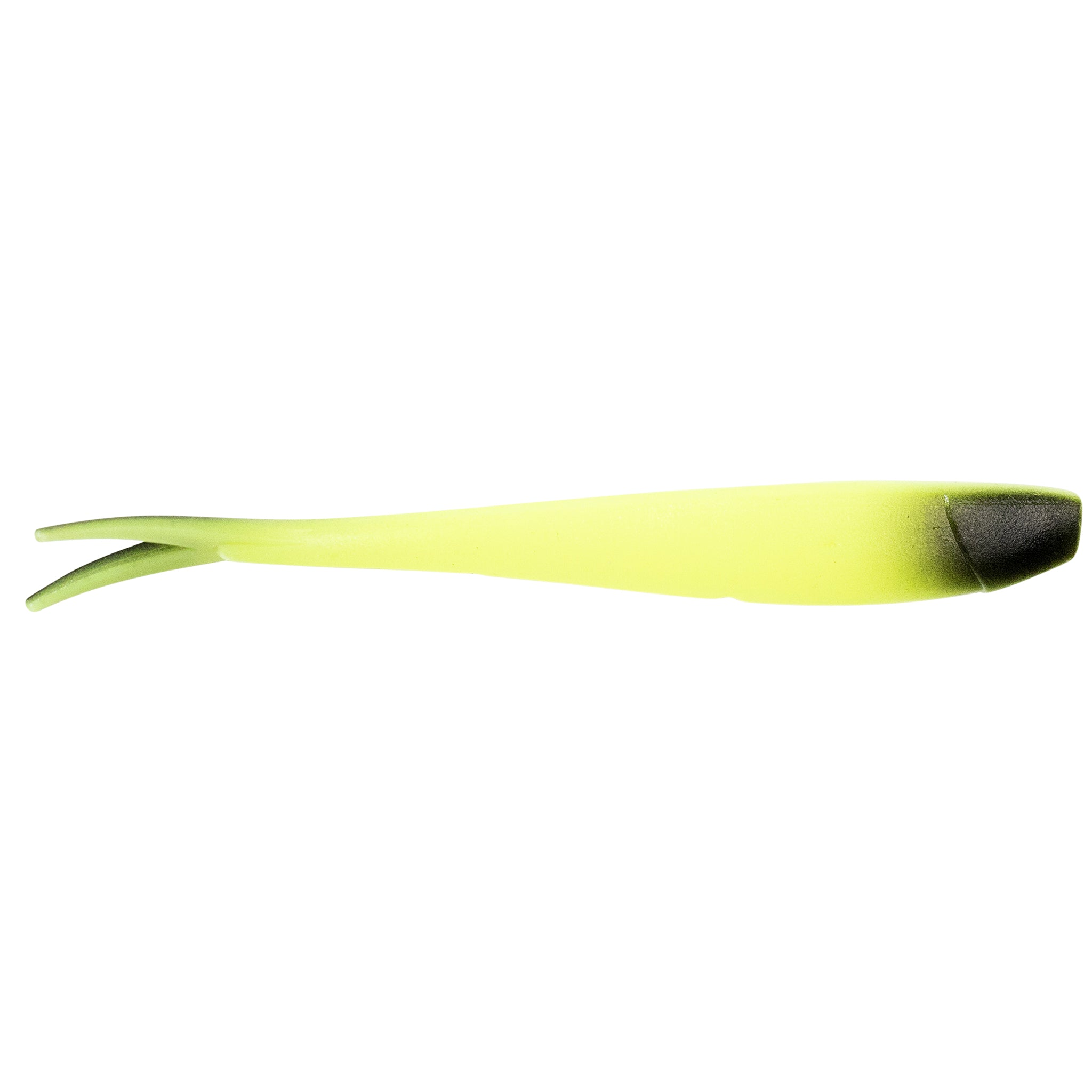Ditch Minnow