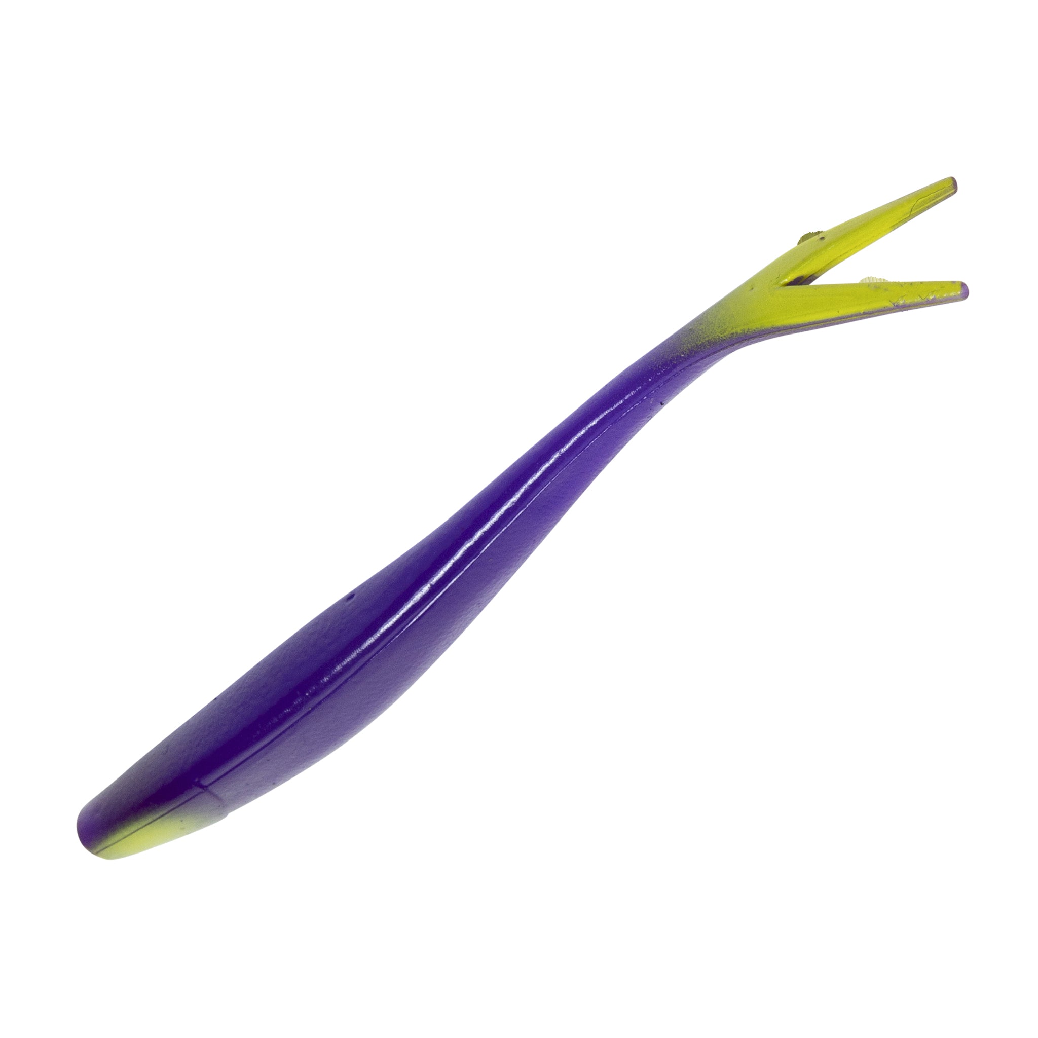 Ditch Minnow