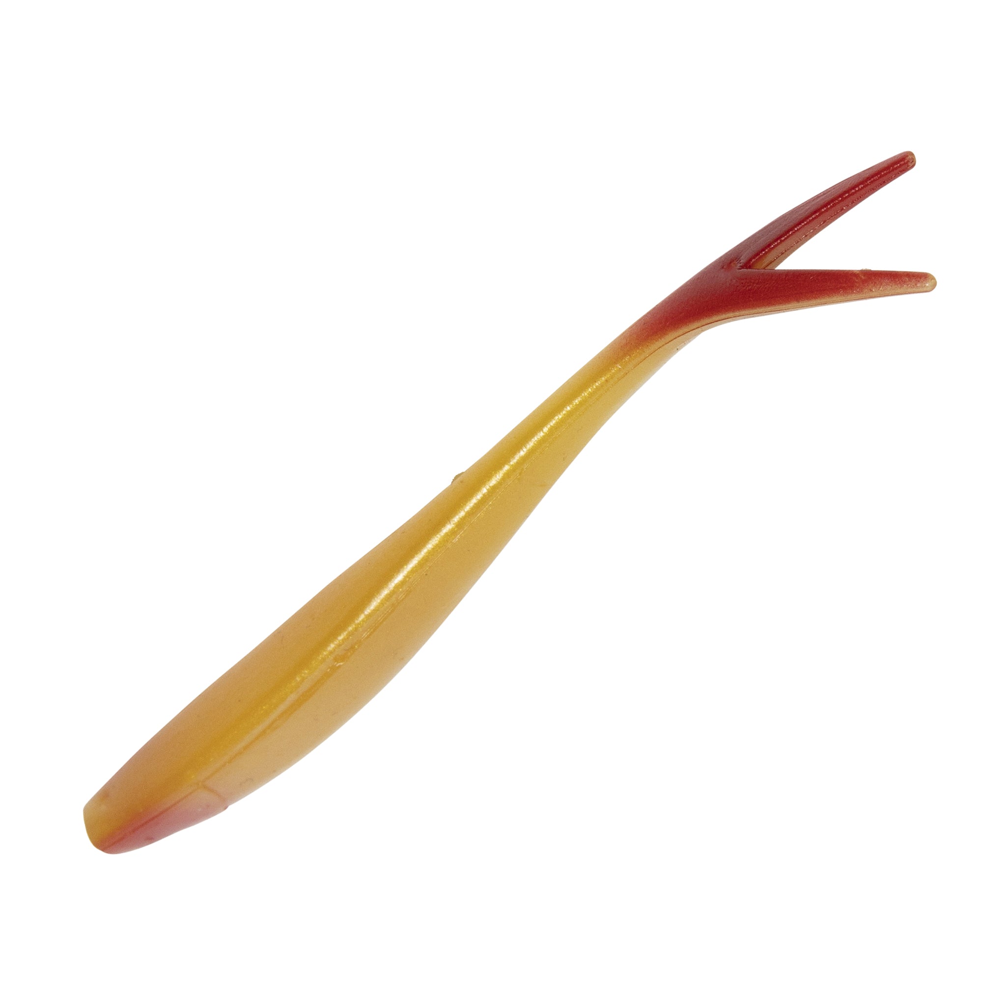Ditch Minnow