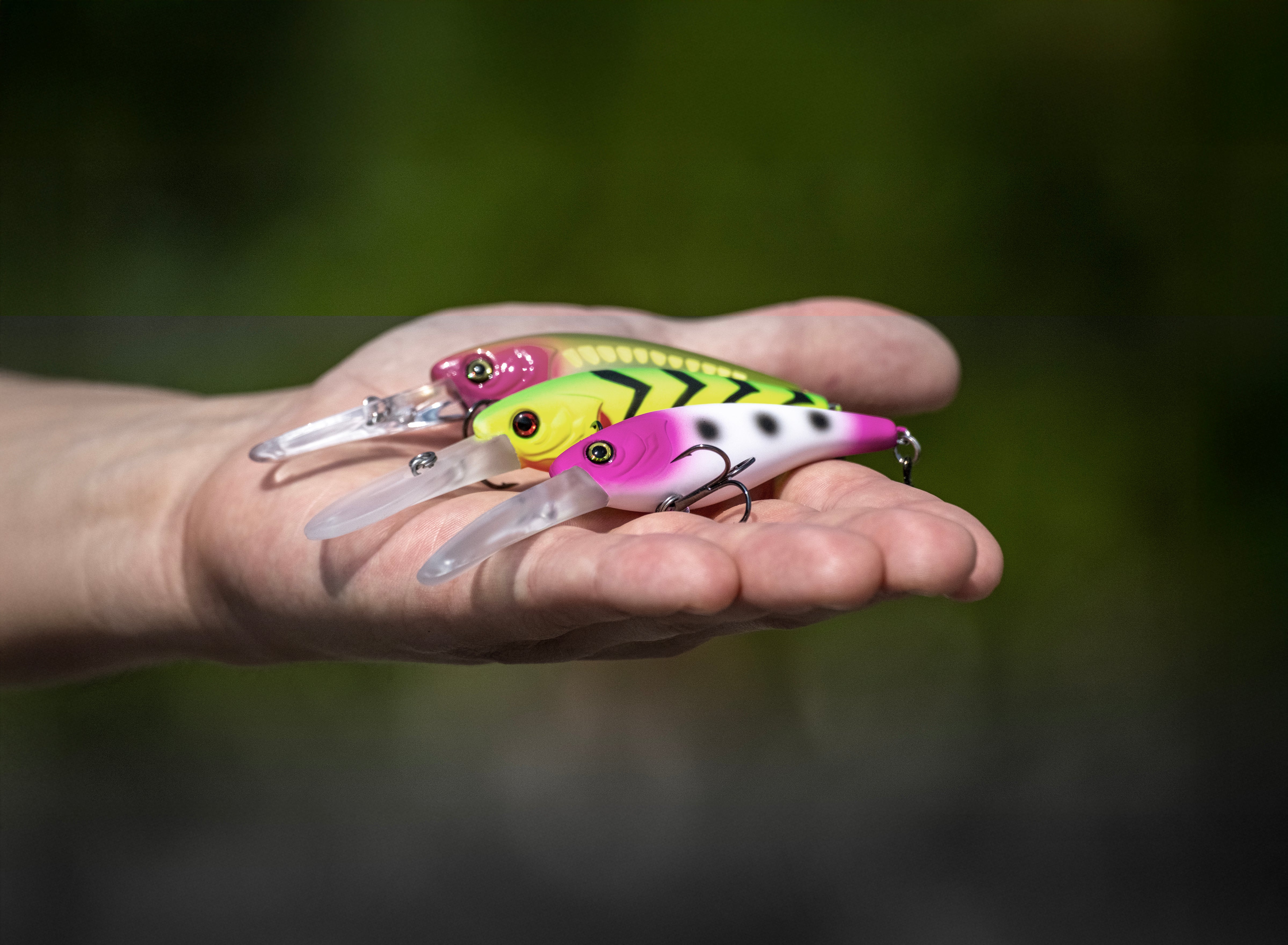 Products – Walleye County